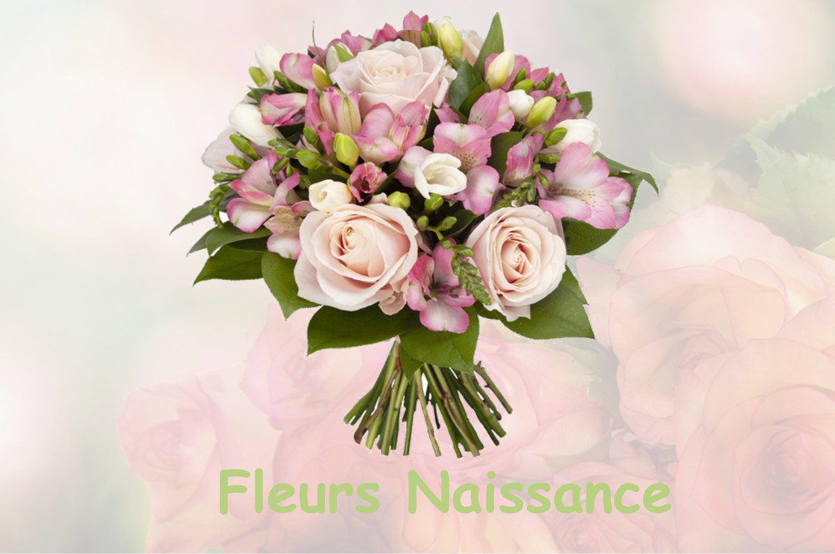 fleurs naissance PLEUCADEUC