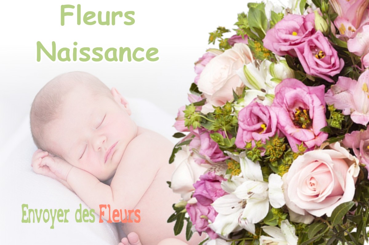 lIVRAISON FLEURS NAISSANCE à PLEUCADEUC