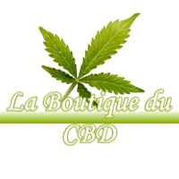 LA BOUTIQUE DU CBD PLEUCADEUC 